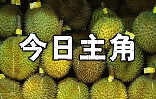 马来西亚榴莲如何征服中国餐桌，一段跨越国界的美食之旅