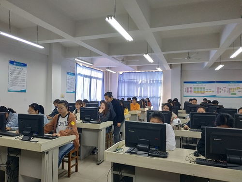 山东有多少电子商务专业