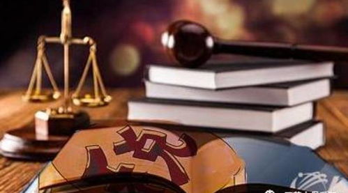 被官二代顶替上大学，她逆袭成为律师，用法律武器捍卫正义