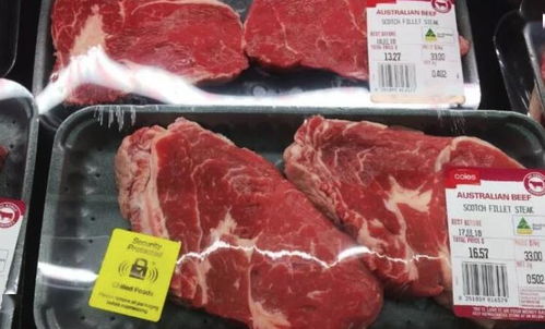 巴西欲成为中国牛肉需求替代供应国