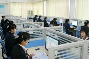电子商务适合的专业吗