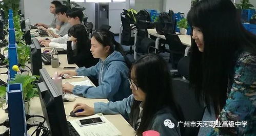 英语专业和电子商务