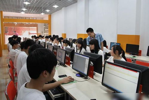 电子商务专业怎么找实习