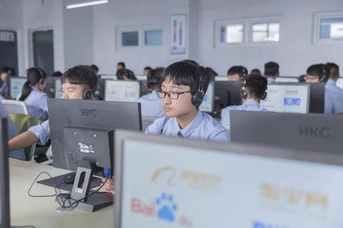 电子商务专业都上什么课
