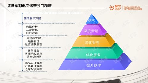 电子商务专业总体目标