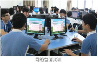 学完电子商务专业出来