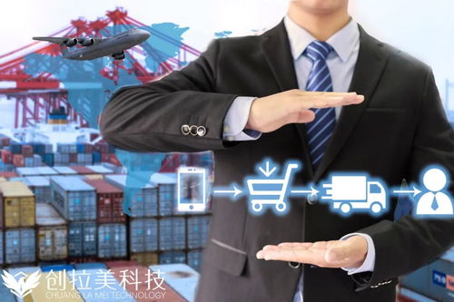 龙志锋电子商务专业
