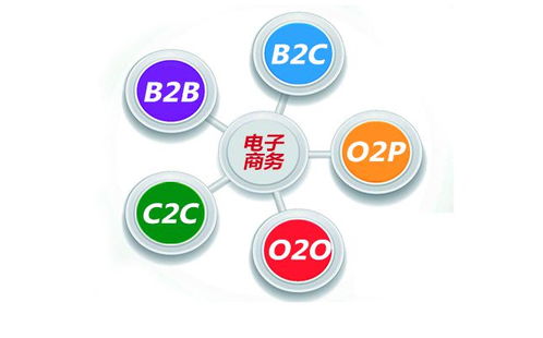 想象中的电子商务专业