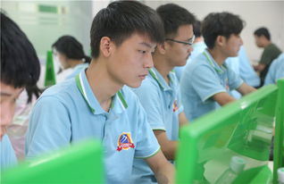 电子商务专业去摆摊好吗