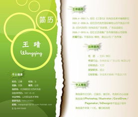 电子商务专业的简历颜色