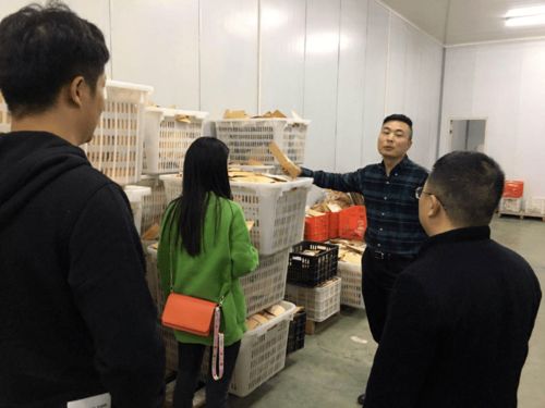 肥乡职教中心电子商务专业