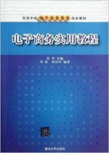 电子商务专业的经典书籍