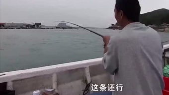 小伙垂钓“钓”上条落水“美人鱼”