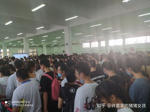 不能报的专业电子商务
