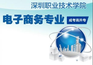 成考专科电子商务专业
