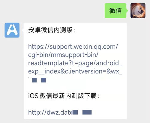 微信新功能来袭，加好友时图片备注，让你的社交圈更加个性化！