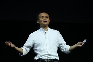 马云的电子商务专业