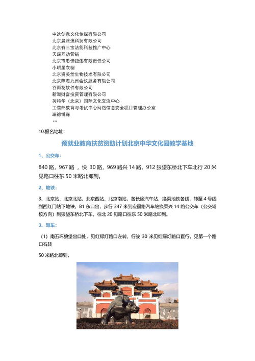 电子商务专业秋招简历