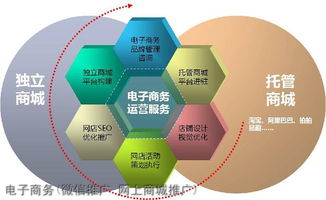 电子商务专业书轻化工