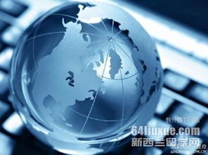 怀卡托电子商务专业