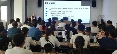 电子商务专业带头人
