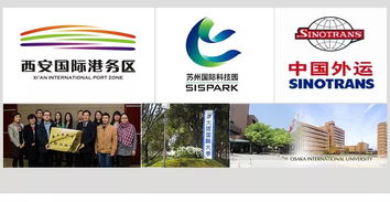 国际贸易专业电子商务