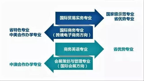 电子商务中美合作专业