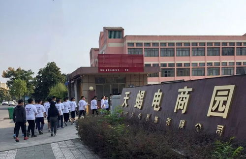 浦江电子商务专业村
