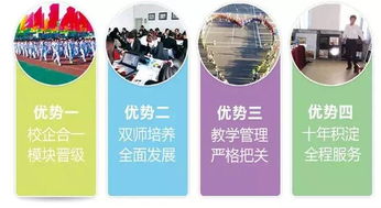 电子商务专业技能达标