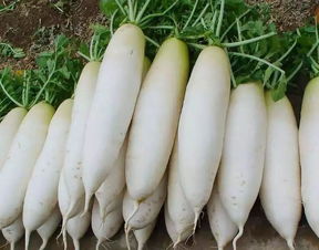卤鹅哥20天涨粉80万，背后的焦虑与恐惧