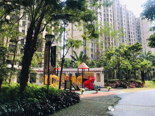 难怪有故人之姿，原来是故人外甥