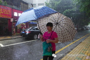 深圳地铁已被暴雨攻占，市民出行受阻，紧急应对措施出台