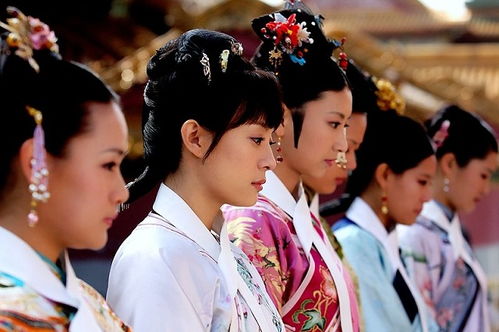 后宫四人传