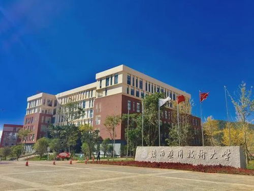 金湾电子商务专业学院