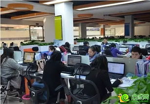 郑州电子商务都什么专业