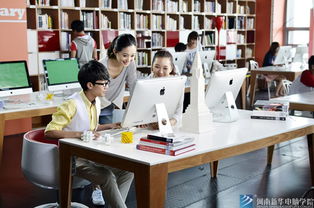 什么大学有电子商务专业