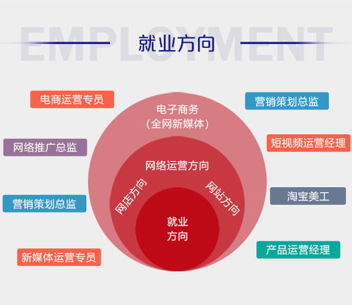 电子商务专业的具体方向
