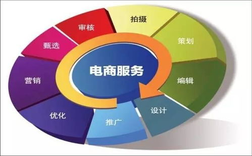 电子商务专业出现时间