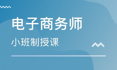 中考电子商务是什么专业