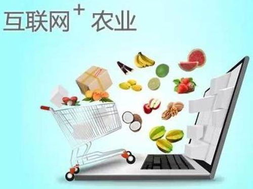 啥是农村电子商务专业的